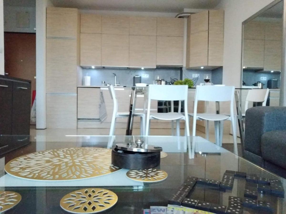 Sunny Penthouse With Roof Gardens Overlooking The Warsaw Palace Of Culture Pruszków Extérieur photo