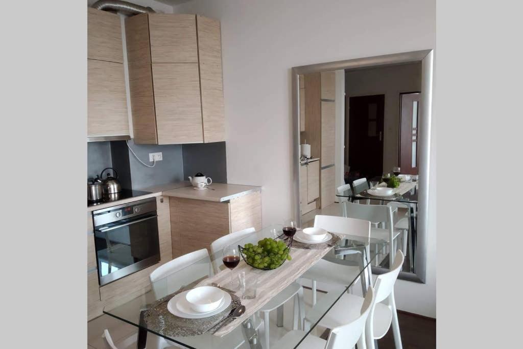 Sunny Penthouse With Roof Gardens Overlooking The Warsaw Palace Of Culture Pruszków Extérieur photo