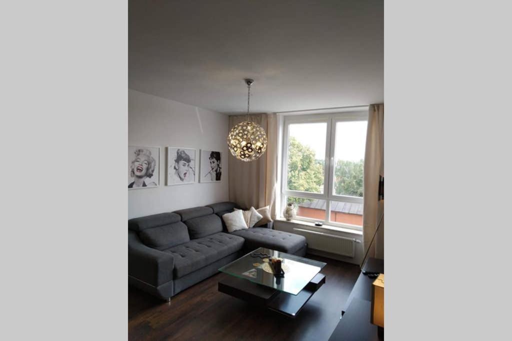 Sunny Penthouse With Roof Gardens Overlooking The Warsaw Palace Of Culture Pruszków Extérieur photo